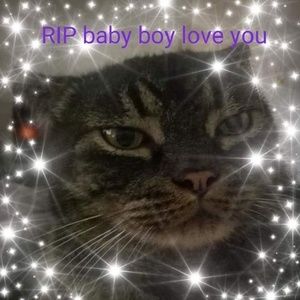 Meet your Posher, Annette